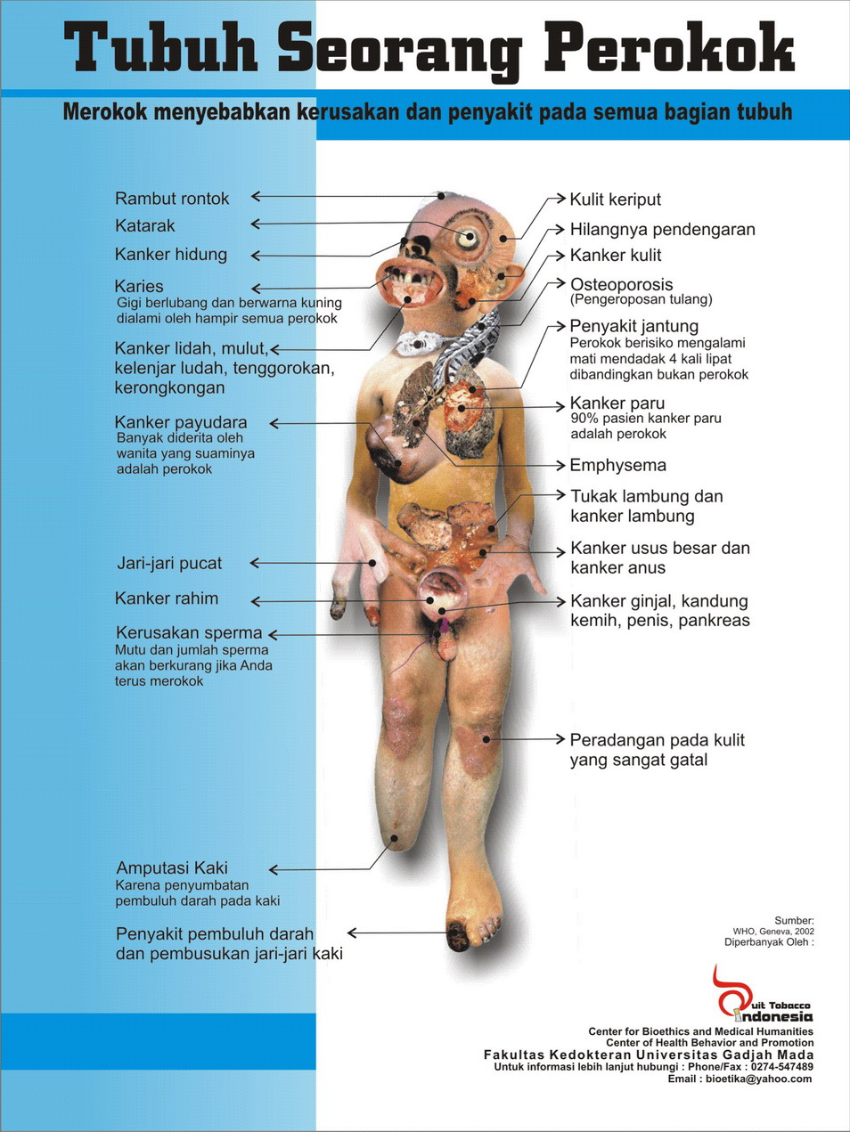 Anatomi Saluran Pernafasan